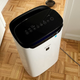 Image for article titled The Best Air Purifiers To Help You Survive Allergy Season